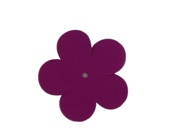 Dámske opasky strihané nalepené zvlnené ozdobné spony výrobca veľkoobchod Poľsko